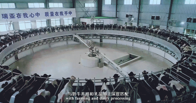 荣誉 | 2019年度河南省美丽牧场名单新鲜出炉 花花牛乳业集团旗下六个牧场榜上有名